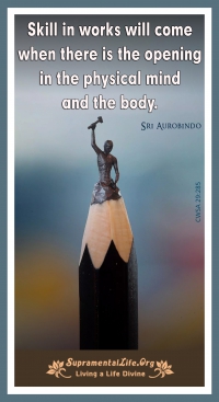 Skill in Works Long.jpg